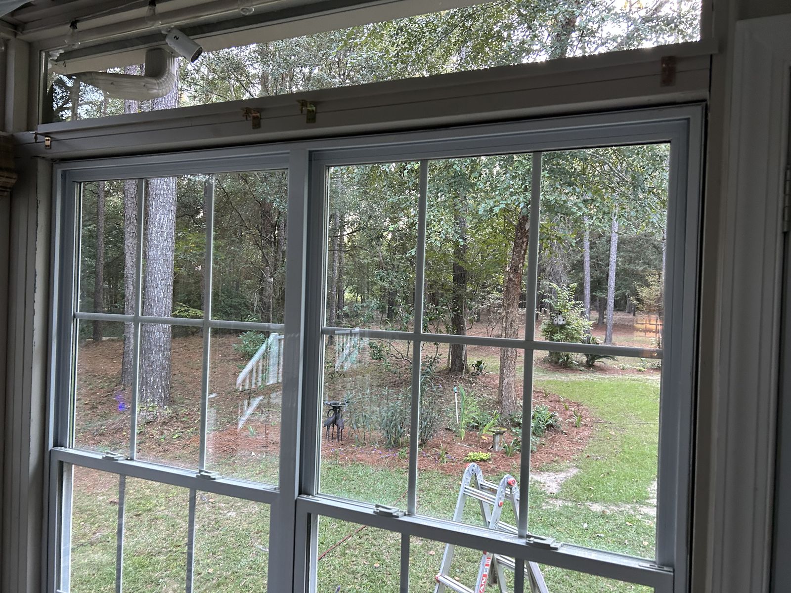 After: inside view of a pair of gridded double-hung windows with the foggy glass replaced, looking out at a wooded yard